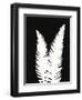 New Fern 9-Mary Margaret Briggs-Framed Giclee Print