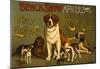 New Finland Kennel Club Vintage Ad Poster Print-null-Mounted Poster