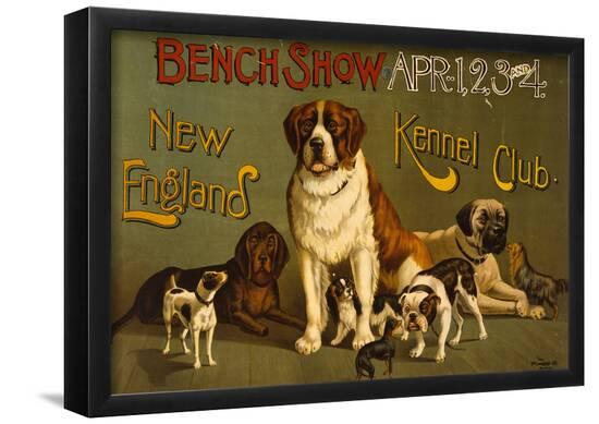 Poster, , large