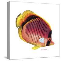 New Fish 1-Olga And Alexey Drozdov-Stretched Canvas
