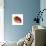 New Fish 1-Olga And Alexey Drozdov-Giclee Print displayed on a wall