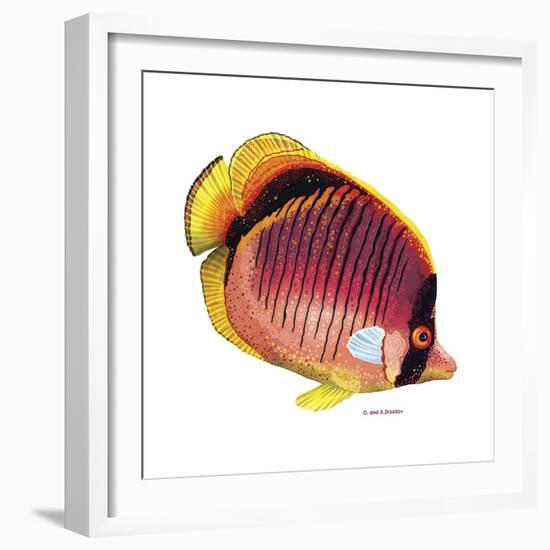 New Fish 1-Olga And Alexey Drozdov-Framed Giclee Print