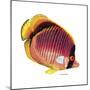 New Fish 1-Olga And Alexey Drozdov-Mounted Giclee Print