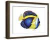 New Fish 2-Olga And Alexey Drozdov-Framed Giclee Print