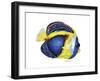 New Fish 2-Olga And Alexey Drozdov-Framed Giclee Print