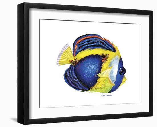 New Fish 2-Olga And Alexey Drozdov-Framed Premium Giclee Print