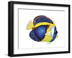 New Fish 2-Olga And Alexey Drozdov-Framed Premium Giclee Print
