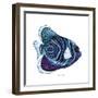 New Fish 3-Olga And Alexey Drozdov-Framed Giclee Print