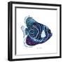 New Fish 3-Olga And Alexey Drozdov-Framed Giclee Print