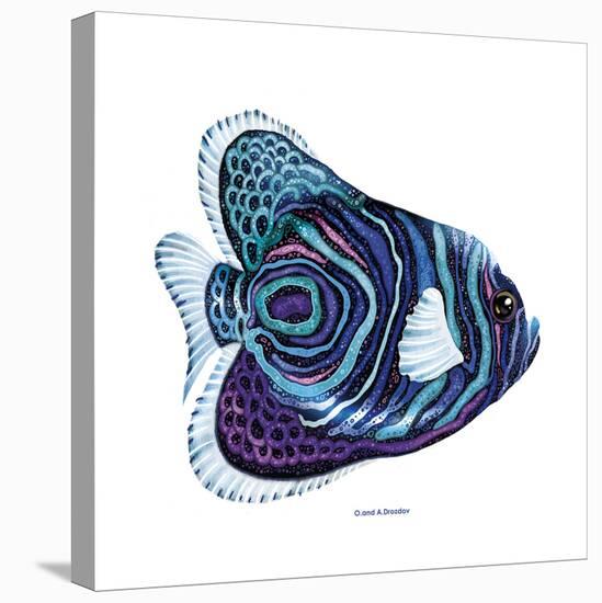 New Fish 3-Olga And Alexey Drozdov-Stretched Canvas