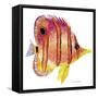 New Fish 4-Olga And Alexey Drozdov-Framed Stretched Canvas