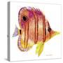 New Fish 4-Olga And Alexey Drozdov-Stretched Canvas