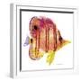 New Fish 4-Olga And Alexey Drozdov-Framed Premium Giclee Print