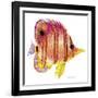 New Fish 4-Olga And Alexey Drozdov-Framed Giclee Print