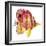 New Fish 4-Olga And Alexey Drozdov-Framed Giclee Print