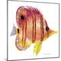 New Fish 4-Olga And Alexey Drozdov-Mounted Premium Giclee Print