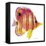 New Fish 4-Olga And Alexey Drozdov-Framed Stretched Canvas