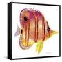 New Fish 4-Olga And Alexey Drozdov-Framed Stretched Canvas