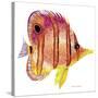 New Fish 4-Olga And Alexey Drozdov-Stretched Canvas