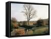 New Forest, Hampshire, England, United Kingdom-Roy Rainford-Framed Stretched Canvas