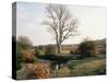 New Forest, Hampshire, England, United Kingdom-Roy Rainford-Stretched Canvas