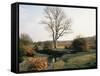 New Forest, Hampshire, England, United Kingdom-Roy Rainford-Framed Stretched Canvas