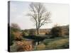 New Forest, Hampshire, England, United Kingdom-Roy Rainford-Stretched Canvas