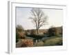 New Forest, Hampshire, England, United Kingdom-Roy Rainford-Framed Photographic Print