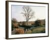 New Forest, Hampshire, England, United Kingdom-Roy Rainford-Framed Photographic Print