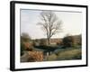 New Forest, Hampshire, England, United Kingdom-Roy Rainford-Framed Photographic Print