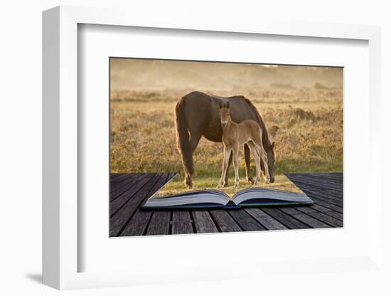 New Forest Pony Mare and Foal Bathed in Sunrise Light in Landscape with Back Lighting-Veneratio-Framed Photographic Print
