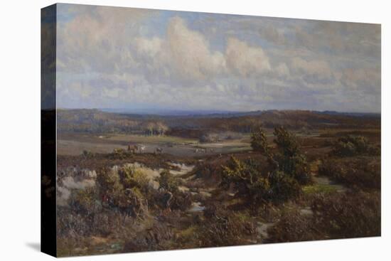 New Forest-Frederik Golden Short-Stretched Canvas