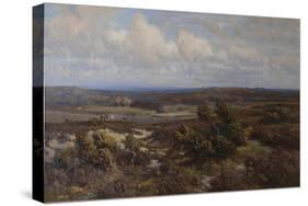New Forest-Frederik Golden Short-Stretched Canvas