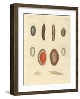 New-Foundes Worms-null-Framed Giclee Print
