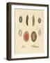 New-Foundes Worms-null-Framed Giclee Print