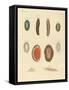 New-Foundes Worms-null-Framed Stretched Canvas