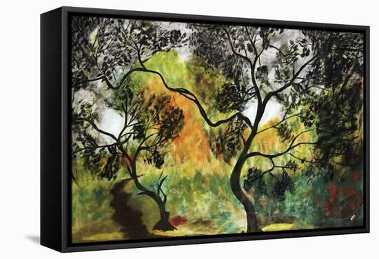 New Garden Path-Abe Abe-Framed Stretched Canvas