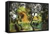 New Garden Path-Abe Abe-Framed Stretched Canvas