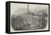 New Graving Dock, Southampton-null-Framed Stretched Canvas