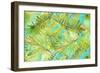 New Greens on Blue-Patricia Pinto-Framed Art Print