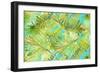 New Greens on Blue-Patricia Pinto-Framed Art Print