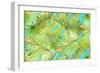 New Greens on Blue-Patricia Pinto-Framed Art Print