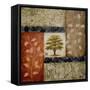 New Growth II-Michael Marcon-Framed Stretched Canvas