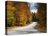 New Hamphire, White Mountains National Forest, Bear Notch Road, USA-Alan Copson-Stretched Canvas