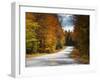 New Hamphire, White Mountains National Forest, Bear Notch Road, USA-Alan Copson-Framed Photographic Print