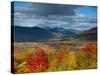 New Hamphire, White Mountains National Forest, USA-Alan Copson-Stretched Canvas