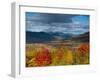 New Hamphire, White Mountains National Forest, USA-Alan Copson-Framed Photographic Print