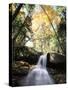 New Hampshire, a Waterfall in the White Mountains-Christopher Talbot Frank-Stretched Canvas