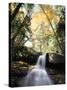 New Hampshire, a Waterfall in the White Mountains-Christopher Talbot Frank-Stretched Canvas