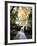 New Hampshire, a Waterfall in the White Mountains-Christopher Talbot Frank-Framed Photographic Print